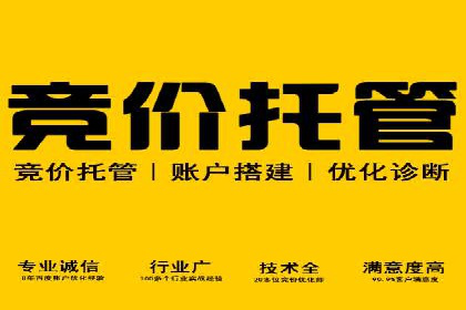 SEM托管服务实战案例：解决企业广告投放难题